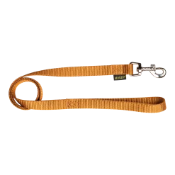 Laisse nylon 1 m x 20 mm, gold