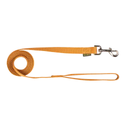 Laisse nylon 2 m x 20 mm, gold