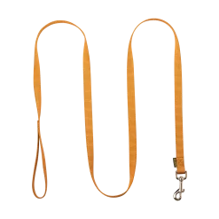 Laisse nylon 2 m x 20 mm, gold