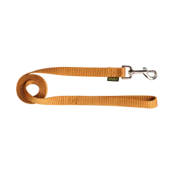 Laisse nylon 1.50 m x 20 mm, gold