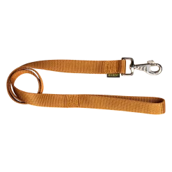 Laisse nylon 1 m x 25 mm, gold