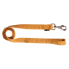 Laisse nylon 1.50 m x 25 mm, gold