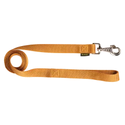 Laisse nylon 1.50 m x 25 mm, gold