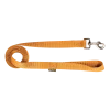 Laisse nylon 2 m x 25 mm, gold