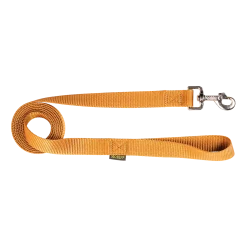 Laisse nylon 2 m x 25 mm, gold
