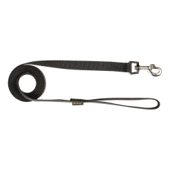 Laisse nylon 2 m x 20 mm, noir