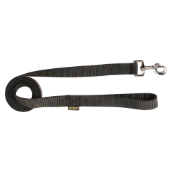 Laisse nylon 2 m x 25 mm, noir