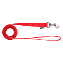 Laisse nylon 2 m x 20 mm, rouge