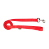 Laisse nylon 2 m x 25 mm, rouge