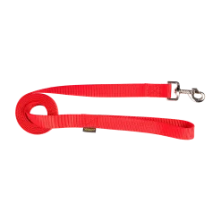 Laisse nylon 2 m x 25 mm, rouge