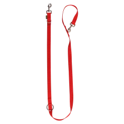 Laisse nylon 3 positions 2 m x 25 mm, rouge