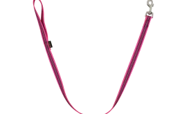 Laisse REFLE gomme avec poignée - 1 m x 20 mm - ROSE