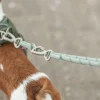 Laisse Summit V L–XL: 2,00 m/ 13 mm, rouge