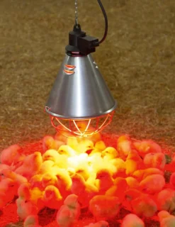 Lampe infrarouge 220 volts (livrée sans ampoule, pour ampoule 175w)