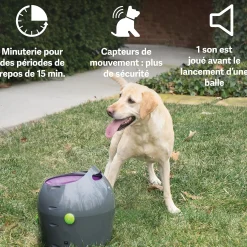 Lanceur automatique de balles