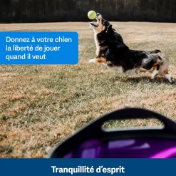 Lanceur automatique de balles