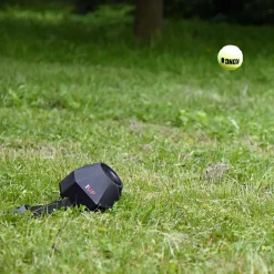 Lanceur de balle D-Ball Up