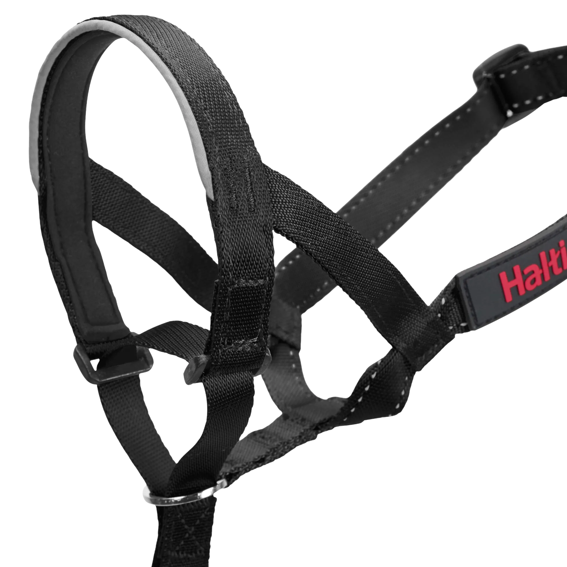 Licol HALTI headcollar noir, taille 2