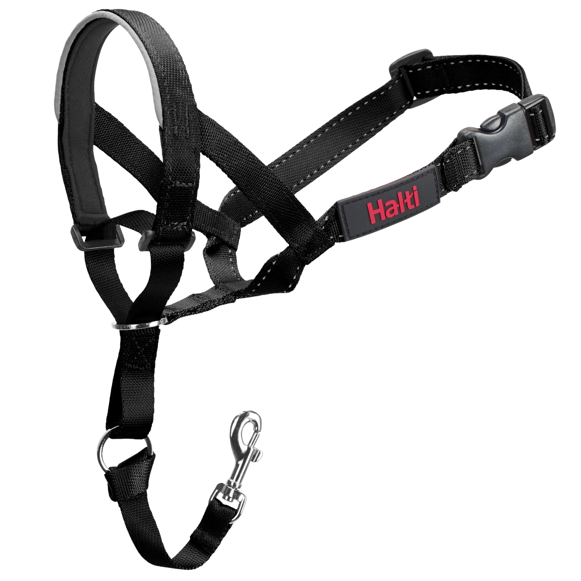 Licol HALTI headcollar noir, taille 2