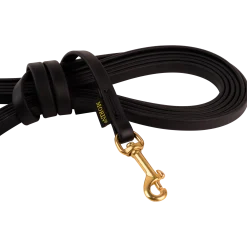 Longe Biothane noire 5 m x 12 mm - mousqueton laiton