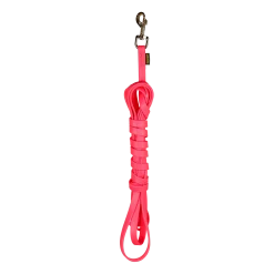 Longe Biothane rose 5 m x 16 mm - mousqueton nickelé