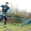 Longe Canicross I-DOG ALM Opale Small