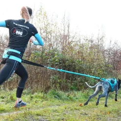 Longe Canicross I-DOG ALM Opale Small