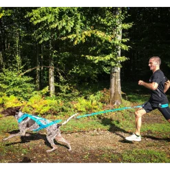 Longe Canicross I-DOG ALM Opale Small