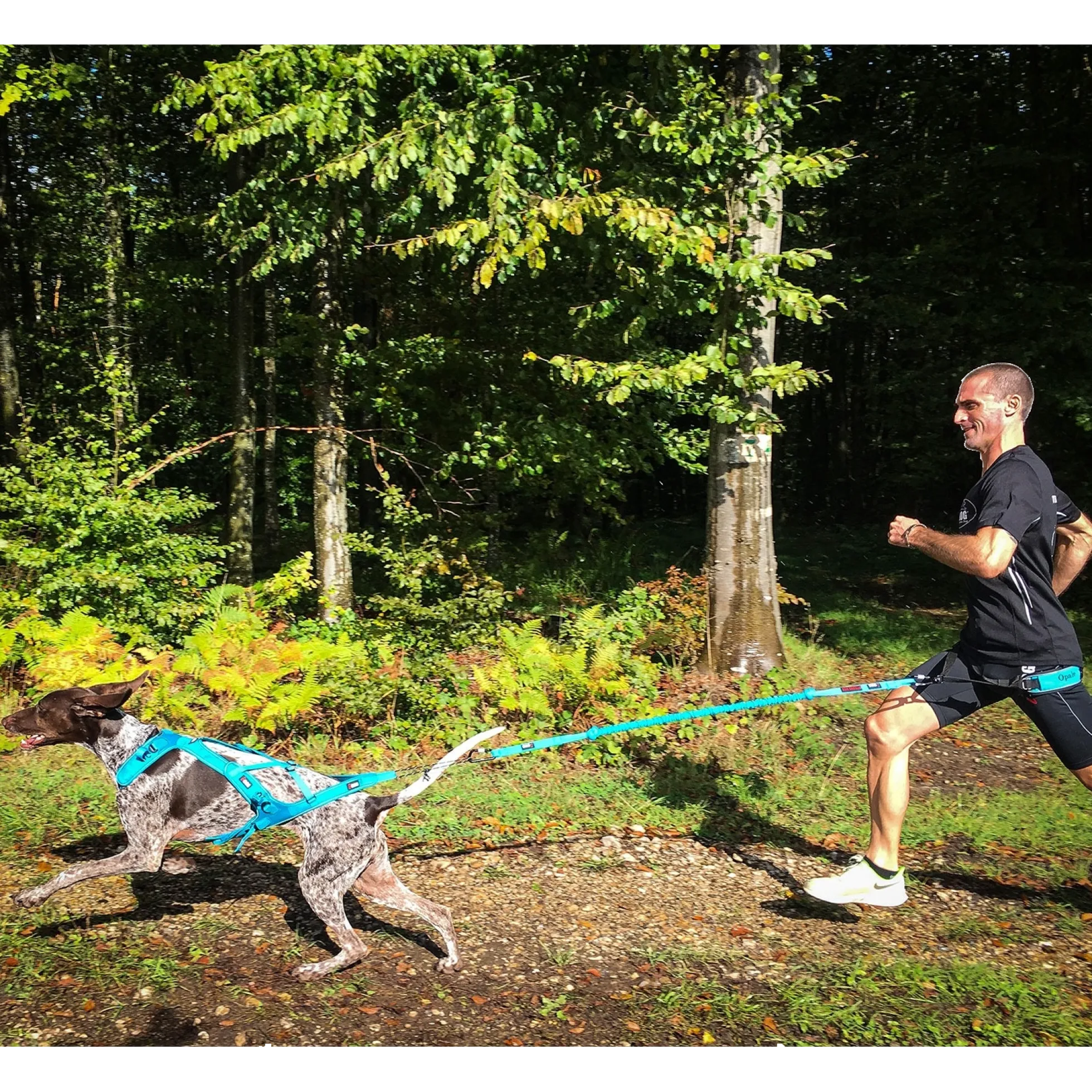 Longe Canicross I-DOG ALM Opale Small