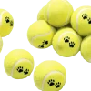 Lot de 12 balles de tennis