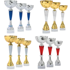 Lot de 12 coupes (hauteur moyenne de 27 cm)