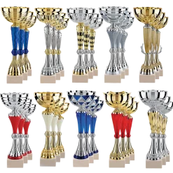 Lot de 30 coupes (hauteur moyenne 34.50 cm)