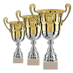 Lot de 3 coupes (hauteur moyenne 38 cm)