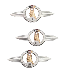 Lot de 3 pin's Berger Allemand