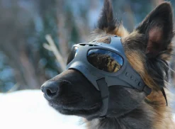 Lunettes / Masque Jango Camp - Noir, verres gris miroir bleu cat 3