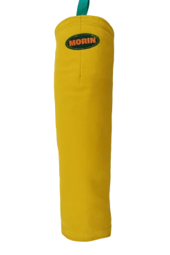 Manche n°3 - (jeune chien, peu d'expérience), toile Signature Jaune