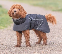 Manteau d'hiver Brizon, XS: 30 cm, noir