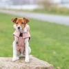 Manteau d'hiver Lesmont XXS 18 cm - apricot