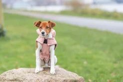 Manteau d'hiver Lesmont XXS 18 cm - apricot