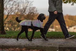Manteau Limoux Reflect, L: 55 cm, multicolore