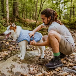 Manteau rafraichissant pour chien Kurgo (petit)