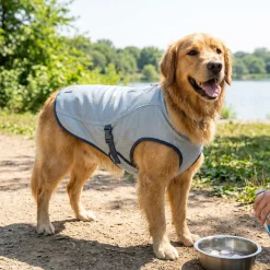 Manteau rafraichissant pour chien Kurgo (Moyen)