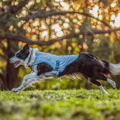 Manteau rafraichissant pour chien Kurgo (Moyen)