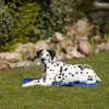 Matelas rafraichissant 90 x 50 cm