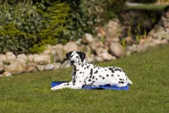 Matelas rafraichissant 90 x 50 cm