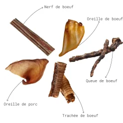 Mix friandises séchées "Resistante"
