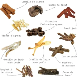 Mix friandises séchées "Sans Effort"