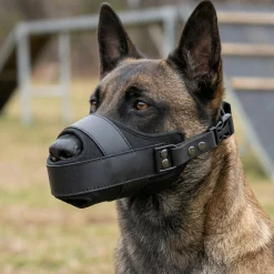 Muselière Cougar en Cordura - Malinois