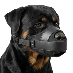 Muselière Cougar en Cordura - Rottweiler Taille 2