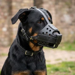 Muselière de frappe Scorpion Cabine bout mordeur - Beauceron